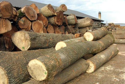 ����ľ����ҵ���ڶ�ͻ��ʮ�ڲ�������