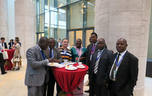 ���������ľ����ľ��Ʒ���