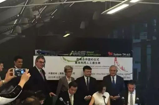 �й��Ų���������ľҵ��еǩ������Ч�����˹������֡�����Э��