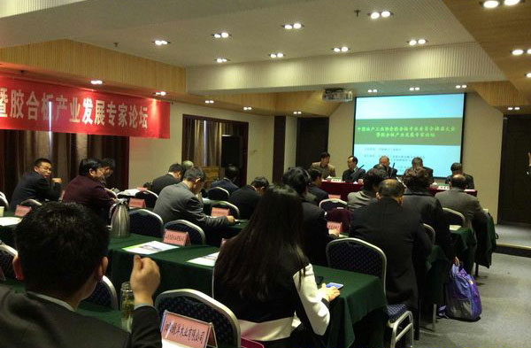 ���ϰ��ҵ��չר����̳�����ִ����