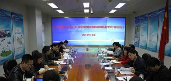 ���й���ҵ�����ݷ�չս�ԡ�����