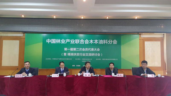 �й���ҵ��ҵ���ϻ�ľ�����Ϸֻ��һ��ڶ��δ�������߾�׼��ƶ��ҵ�������ֻ�ʤ���ٿ�