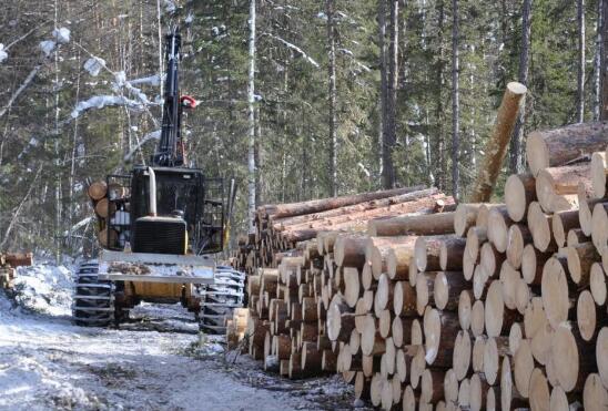 ����˹ľ���������䡪��2016��㶫����˹���г����Ʒ���