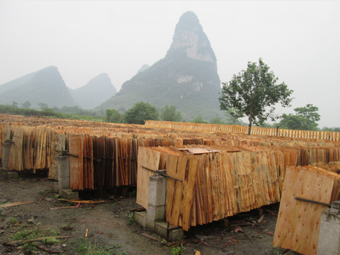 4����Ѯ�������������ȶ�