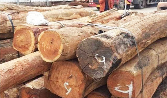 ��黨����ڻ�ռľ���г�����