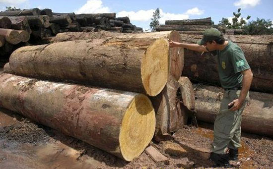 ���ۼ��������ľ���г�����ο�