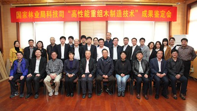 ����������ľ���켼�����гɹ�����