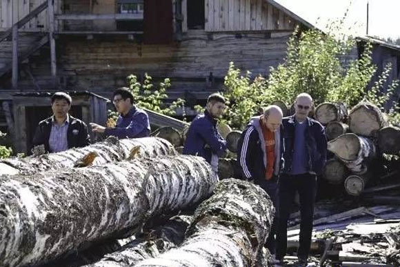 ����˹ľ�Ľ������淨 �Ӳɷ������빤������25��