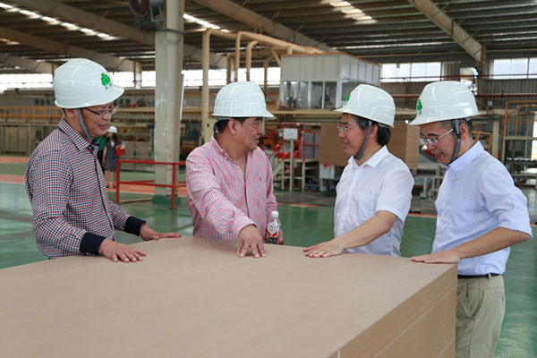 �й��ֲ���ҵЭ����޷��ּ���