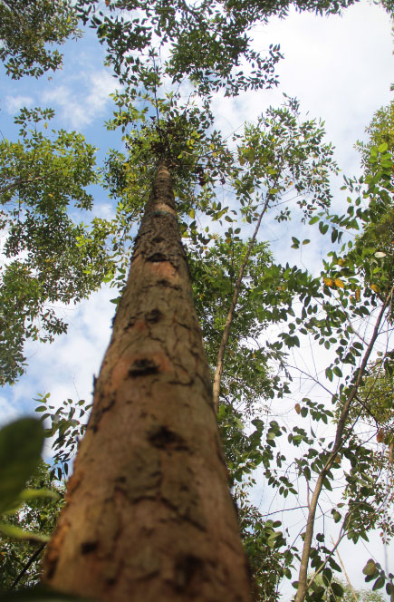 ������ҵ�еĹ屦������Ƥ��