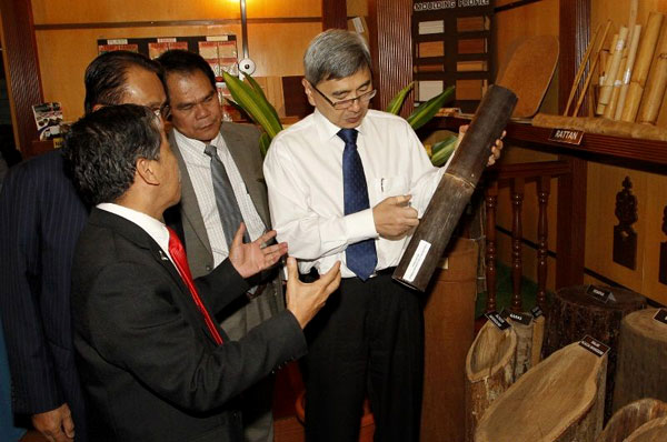 ��������ľ�ĳ��ڶ���ʤȥ��