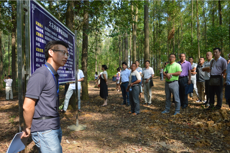 ���޴���--�󾶲������ƹ�ָ�տɴ�