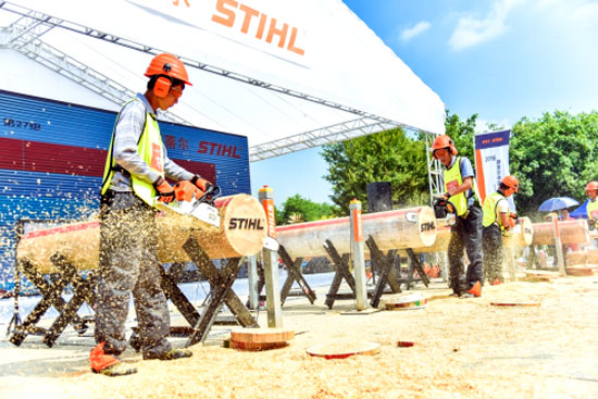 �׽�˹�ٶ���ľ�������ھ�����