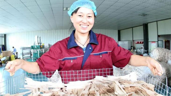 ����������ľ��Ʒ��ŷ������500����Ԫ