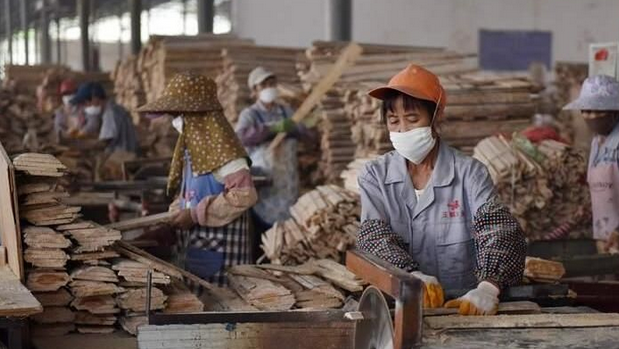 �����޳���ľ�ļӹ���ֵ��4.5��Ԫ