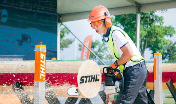 Ⱥ����¹ ̫���ۡ��⡱��2016˹�ٶ��׽��й���ľ�����ɹ��ٰ�