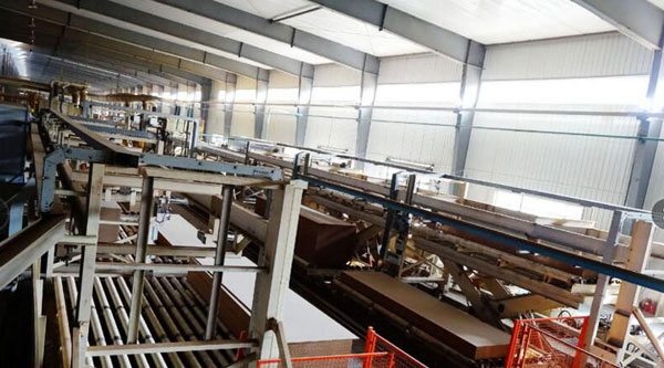 �㶫����ľҵ�ٻ��޼�ȩ������������ء��ƺ�