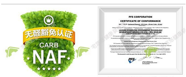 �����߶˱�׼֮---��ȩ���Ӱ�ģ�NAF���Ķ���