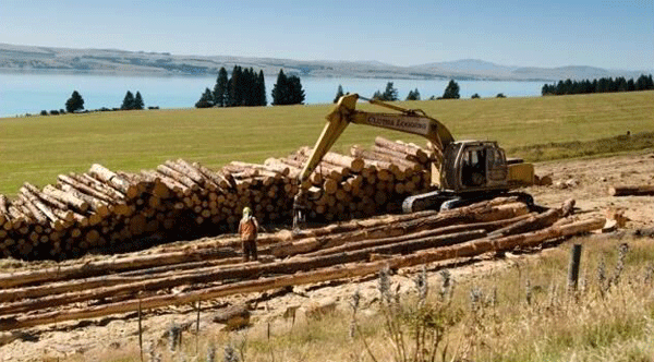 ������ľ��ӭ���Ի������»���