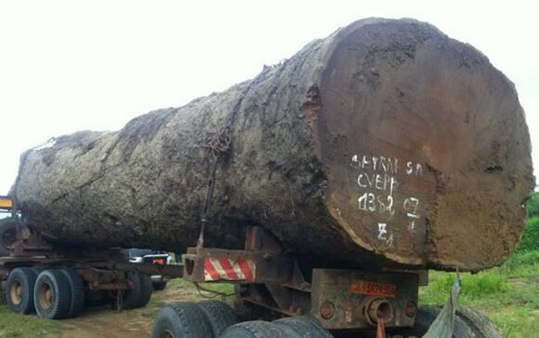 �ͻ��۸�����2000Ԫ/������