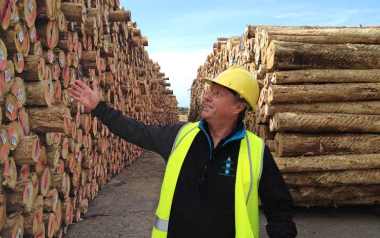 �Ĵ���������ľ�����й��ҵ����´�½��