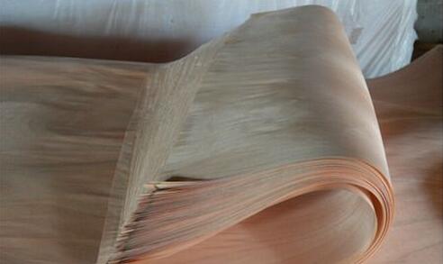 ����ľƤ��������԰¹���ԭľ��ȱ����