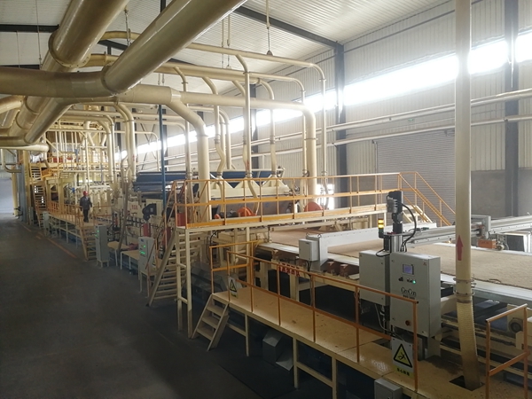 ������е����ɽ��ɭǿ��Ŀ˳����ɴ������������