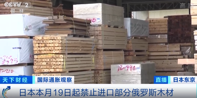 ձ19𽫽ֹڲֶ˹ľģ